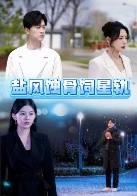 盐风蚀骨饲星轨（60集）王鹏 (2025)-米创网