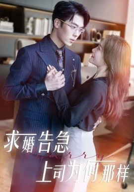 求婚告急上司为何那样（70集）孟璐&卡戎 (2025)-米创网