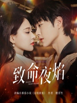 致命夜焰（80集）王轩&何适 (2025)-米创网