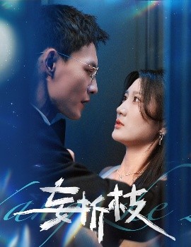 妄折枝（53集）冯铭潮＆杨珊子 (2025)-米创网