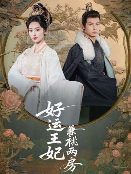 好运王妃兼祧两房（50集）刘叁肆＆生馨月 (2025)-米创网