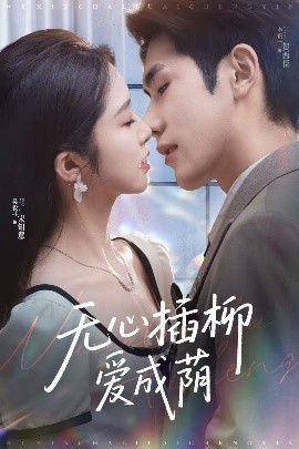 无心插柳爱成荫（80集）李铂一＆吴毅非 (2025)-米创网
