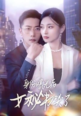 身份曝光后女秘书哭了（31集）刘雪君&张家川 (2025)-米创网