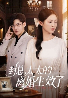 封总，太太的离婚生效了（82集）崔秀子&李子锋 (2025)-米创网