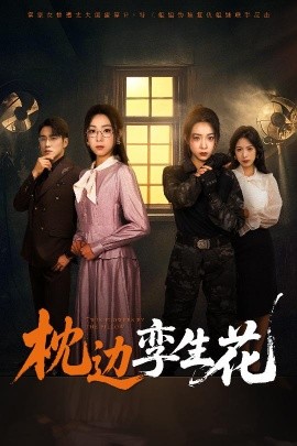 枕边孪生花（50集）张宇翔&周玉玲 (2025)-米创网