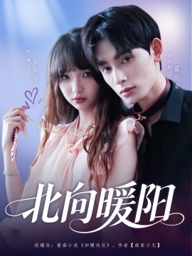 北向暖阳（80集）赵文轩＆杨琳 (2025)-米创网
