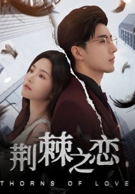 荆棘之恋（60集）李柏言&周妍坤 (2025)-米创网