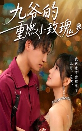 九爷的重燃小玫瑰（67集）罗琼&张洪鸣 (2025)-米创网