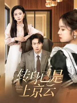 转身已是上京云（88集）张磊＆陈文君&袁传琪 (2025)-米创网