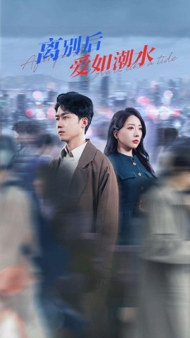 离别后爱如潮水（100集）姚诺&珺行 (2025)-米创网