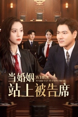 当婚姻站上被告席（30集）刘林&刘涵飞 (2025)-米创网