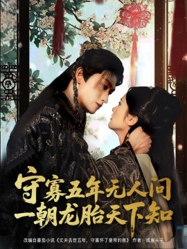 守寡五年无人问一朝龙胎天下知（合集）毛香淋 (2025)-米创网