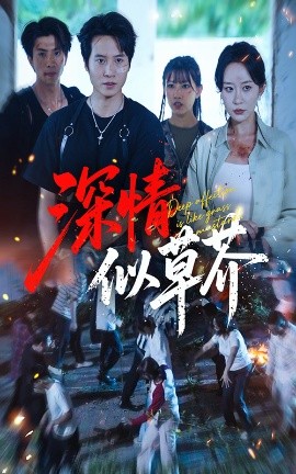 深情似草芥（51集）源鑫&王瀚迎 (2025)-米创网