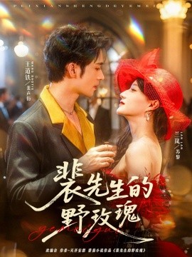 裴先生的野玫瑰（72集）兰岚&王道铁 (2025)-米创网