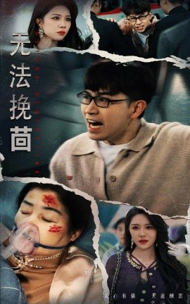 无法挽回（56集）钟莹玲 (2025)-米创网