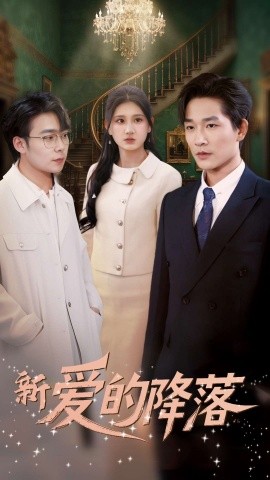 新爱的降落（48集）张旋&杨珊 (2025)-米创网