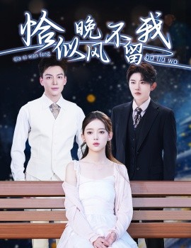 恰似晚风不留我＆弃他如风（51集）黄帅帅＆唐敬 (2025)-米创网