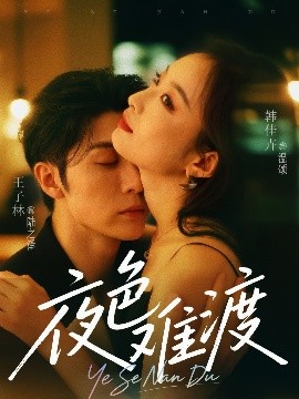 夜色难渡（70集）王子林&韩佳卉 (2025)-米创网