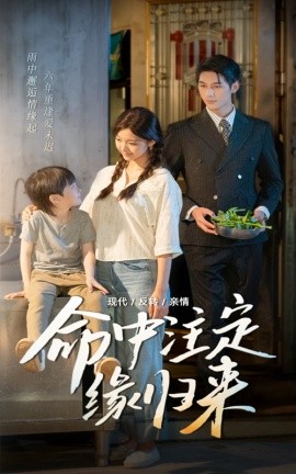命中注定缘归来（63集）戚羽佳&马千欢 (2025)-米创网