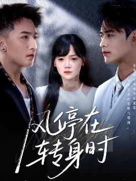 风停在转身时（72集）黄小再＆秦远 (2025)-米创网