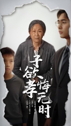 子欲孝悔无时（54集）米琦&吴子明 (2025)-米创网