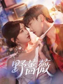 野蔷薇（60集）杜亚飞&杨殊予 (2025)-米创网