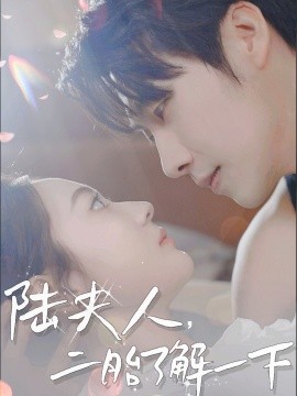 陆夫人，二胎了解一下（73集）张韫韬＆曾和惠子&袁传琪 (2025)-米创网