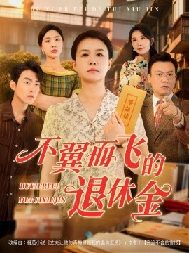 不翼而飞的退休金（63集）刘辛滢&张宝龙 (2025)-米创网