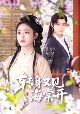 转身又见海棠开（79集）寿晓卿&缪佳汝 (2025)-米创网