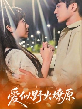 爱似野火燎原（47集）刘博文&景晓媚 (2025)-米创网