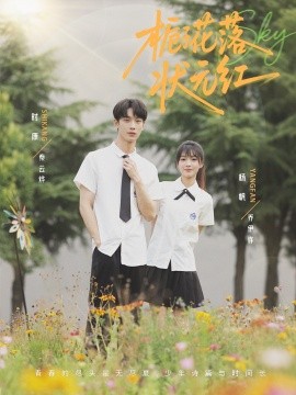 栀子花落状元红（50集）时康&杨帆 (2025)-米创网