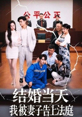 结婚当天我被妻子告上法庭（30集）王惠子&张玉忱 (2025)-米创网