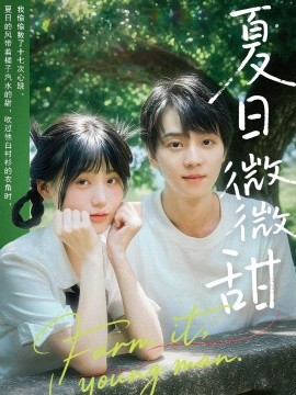夏日微微甜（79集）苏泽林＆宋澎澎 (2025)-米创网