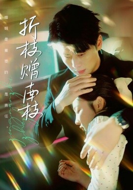 折枝赠南枝（80集）尹一博＆张若辰 (2025)-米创网