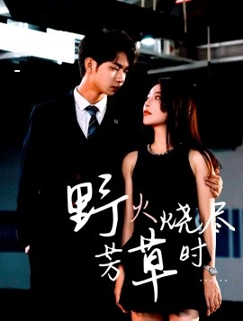 野火烧尽芳草时（65集）黄垚＆闫妍 (2025)-米创网