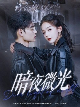 暗夜微光（86集）张力壬&徐波滴 (2025)-米创网