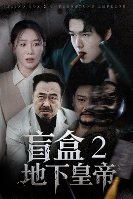 盲盒2地下皇帝（52集）马铭婕 (2025)-米创网