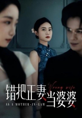 错把正妻当婆婆（46集）张英杰&张耀尹 (2025)-米创网