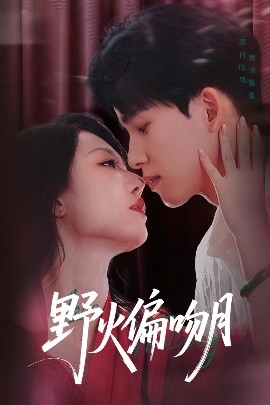 野火偏吻月（51集）钟莹玲&岳杨 (2025)-米创网