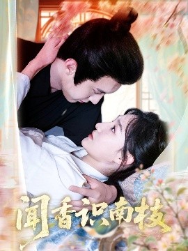 闻香识南枝（60集）李羽彤&希尔力 (2025)-米创网