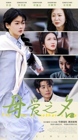 母爱之名（70集）林鹿 (2025)-米创网