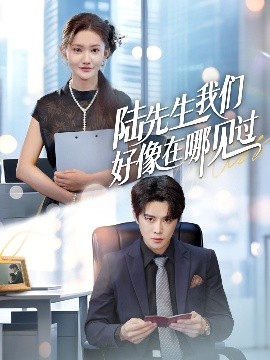 陆先生我们好像在哪见过（70集）刘美伦&曲曦晨 (2025)-米创网