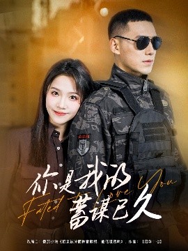 你是我的蓄谋已久（83集）馨方&王慧龙 (2025)-米创网