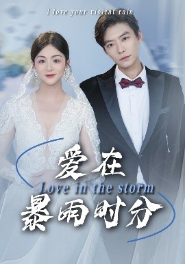 爱在暴雨时分（55集）董一乐&储芊樾 (2025)-米创网