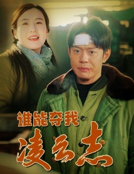谁能夺我凌云志（50集）张彦琳 (2025)-米创网