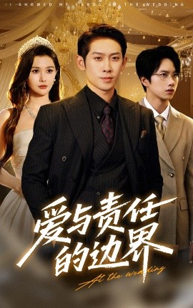 爱与责任的边界（35集）彭羽&王新颖 (2025)-米创网