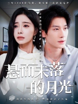 悬而未落的月光&未抵达的回声（40集）韩琪&冯伊洋 (2025)-米创网