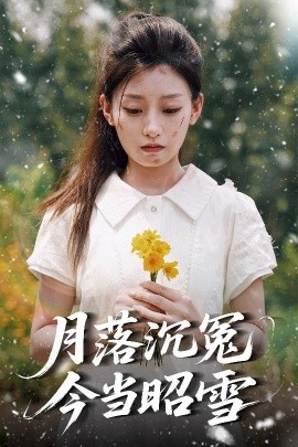月落沉冤今当昭雪（60集）魏浩然＆王倩 (2025)-米创网