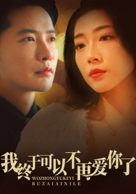 我终于可以不再爱你了（60集）齐惠昭 (2025)-米创网