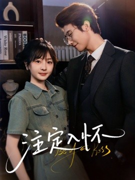 注定入怀（70集）淮文&柳佳希 (2025)-米创网